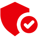 Cyber Security Protection